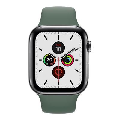 apple watch series 5 44mm stainless