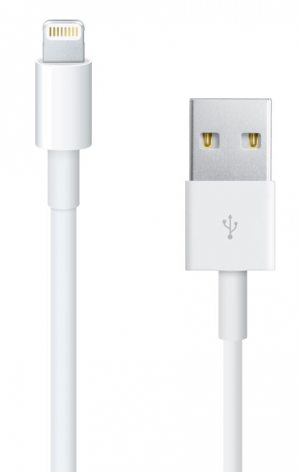 How To Use Ligthning On Your Old Apple Devices