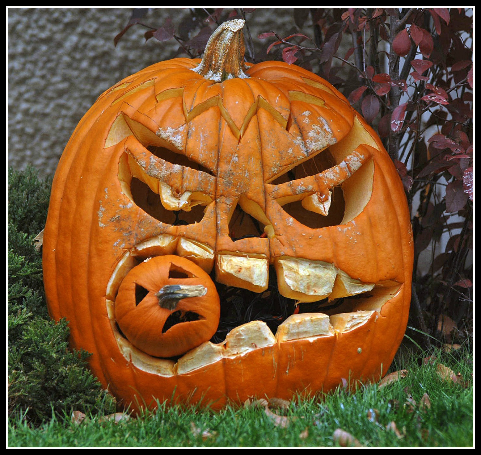 pumpkin