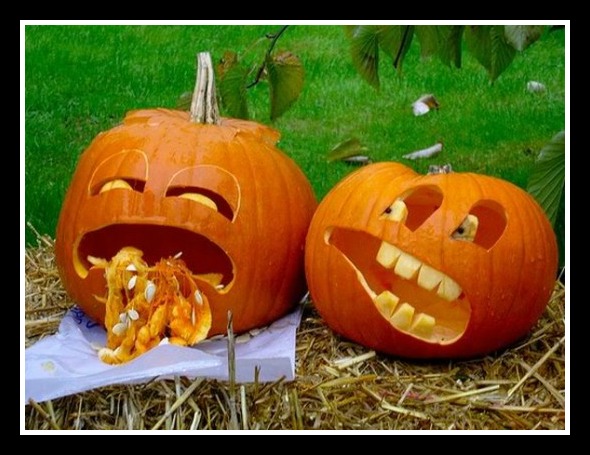 pumpkins-funny