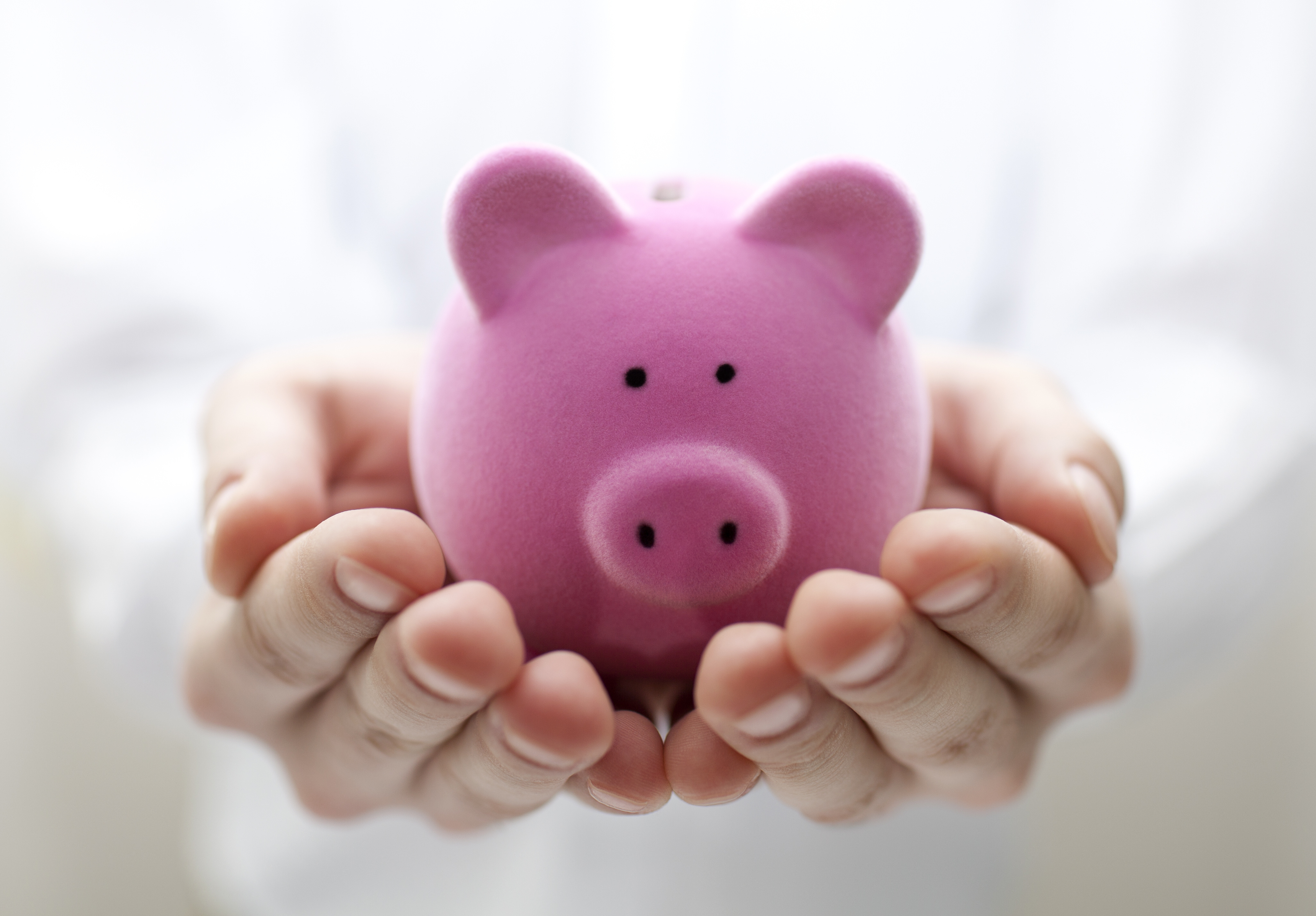 piggy money