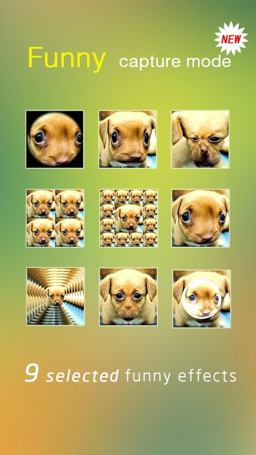 the VivaVideo app
