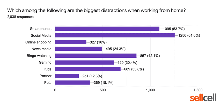 Biggest Distractions Working From Home