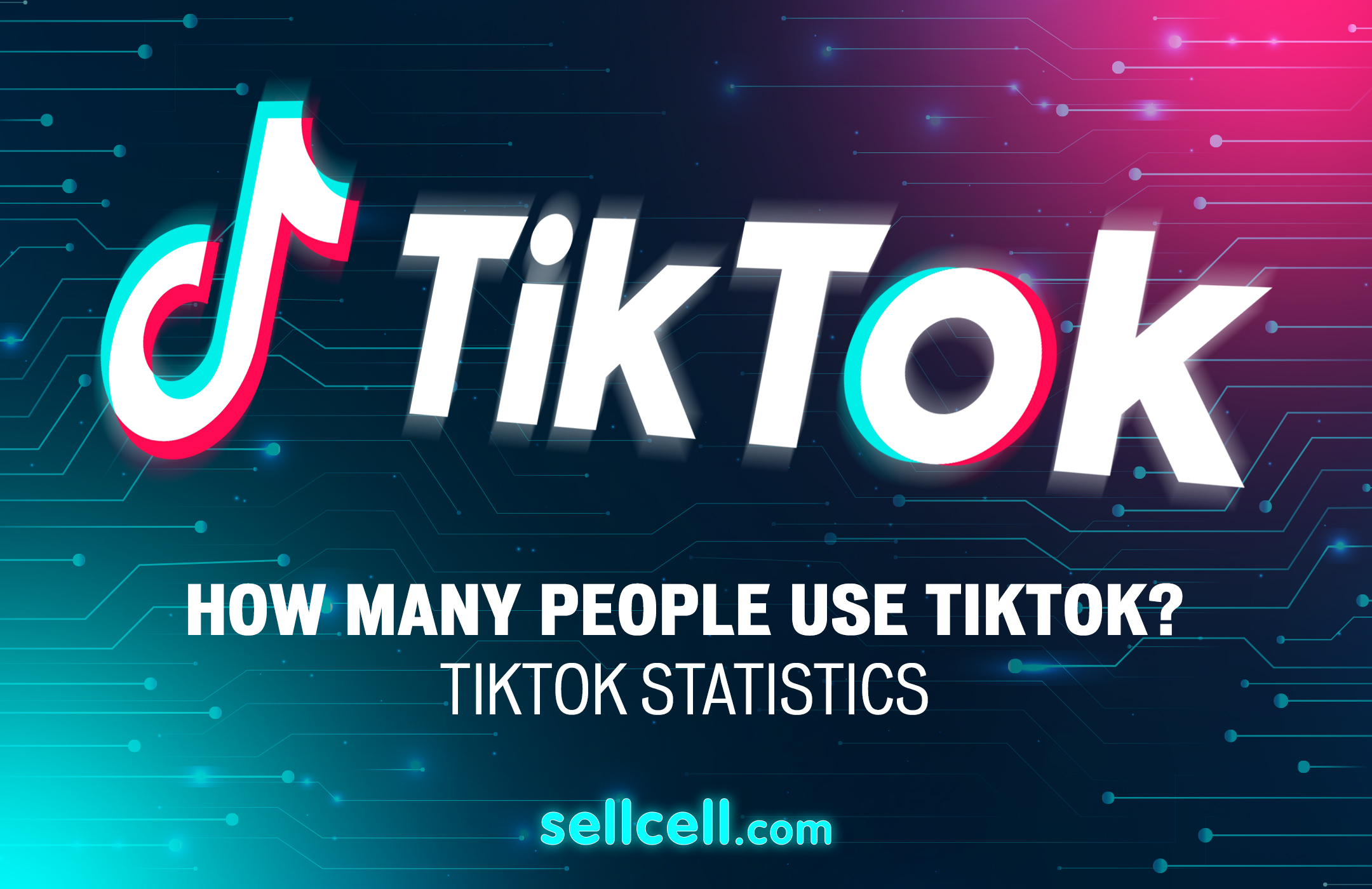 Which countries have banned TikTok and why?